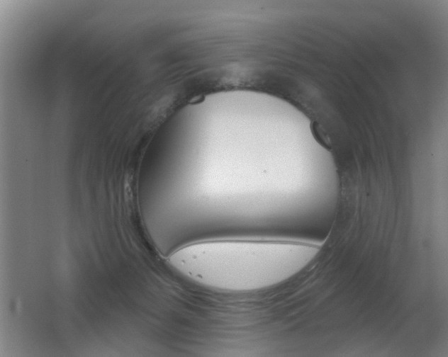 X0000062640127200512211017