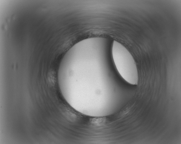 X0000062640135200512211017