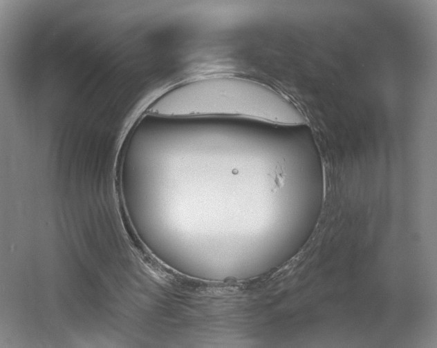 X0000062640147200512211016
