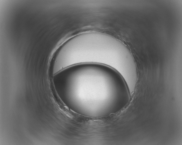 X0000062640150200512211016