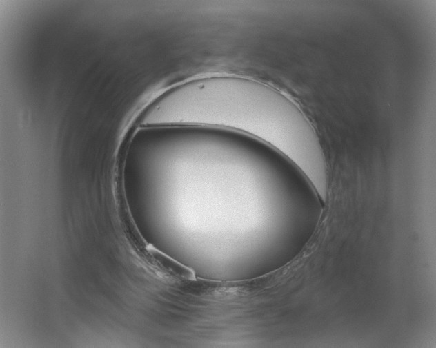 X0000062640152200512211016
