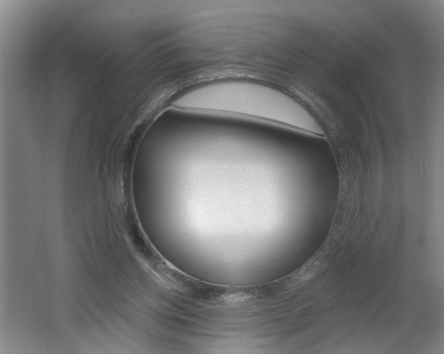 X0000062640158200512211017