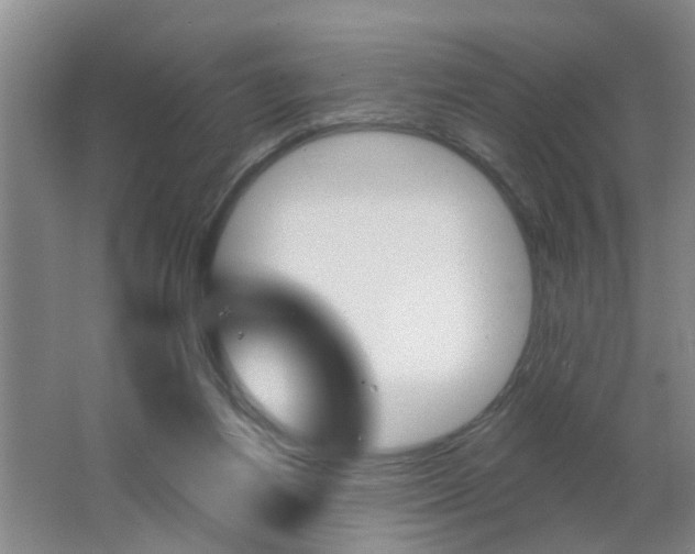 X0000062640164200512211017