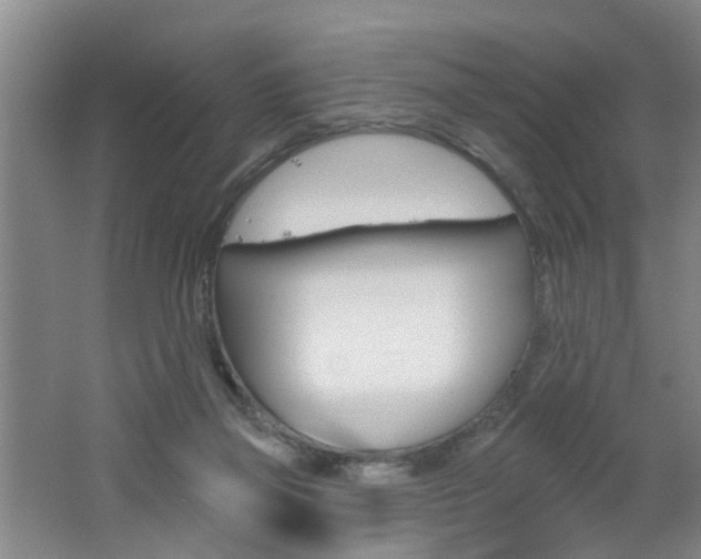 X0000062640165200512211017