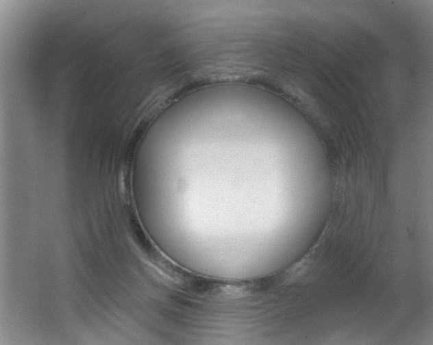 X0000062640166200512211017