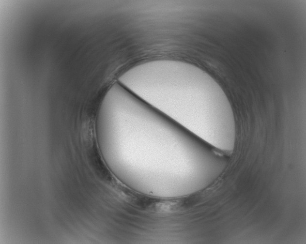 X0000062640172200512211017