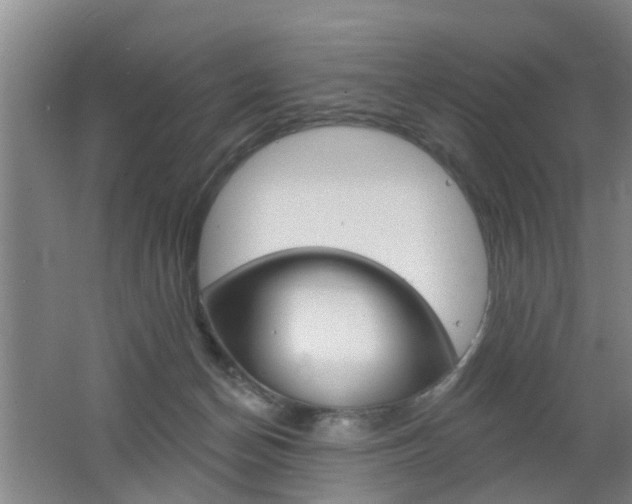 X0000062640174200512211017
