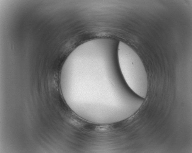 X0000062640175200512211017