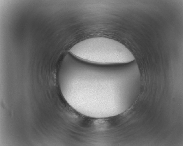 X0000062640183200512211017