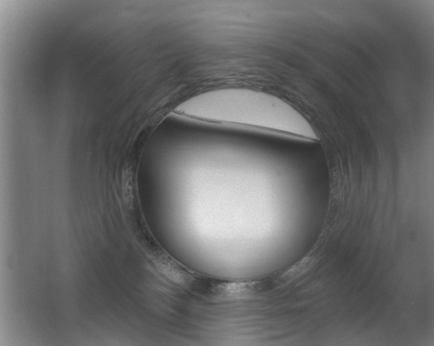 X0000062640184200512211017