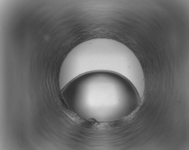 X0000062640186200512211017
