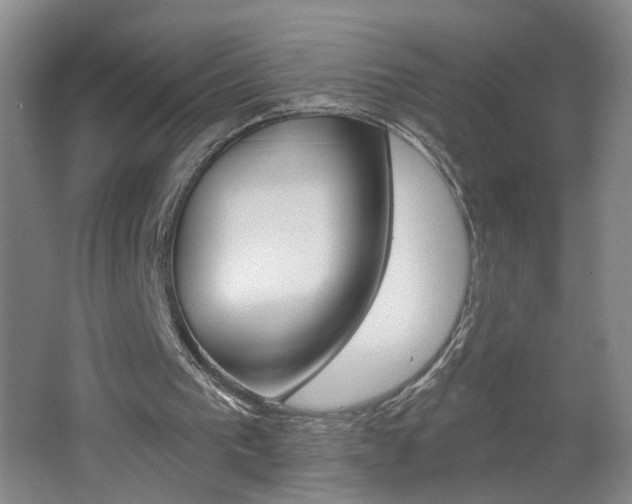 X0000062640193200512211016