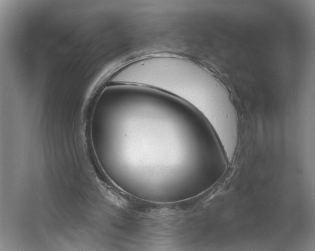 X0000062640197200512211016