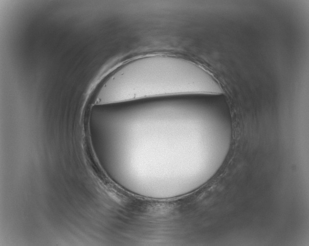 X0000062640198200512211016