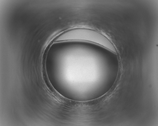 X0000062640199200512211016