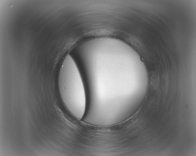 X0000062640206200512211016