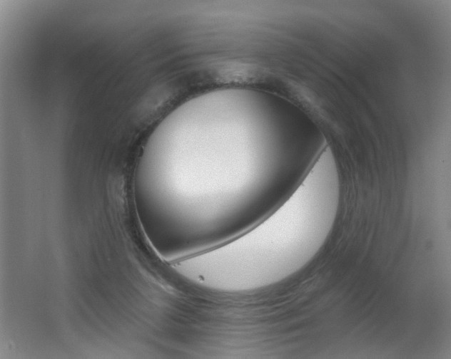 X0000062640211200512211016