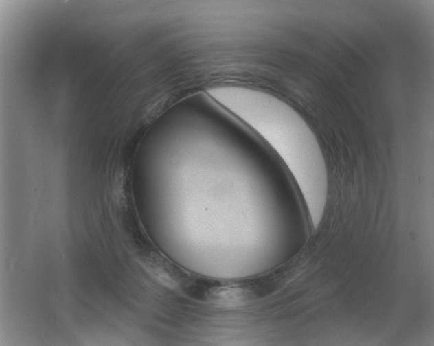 X0000062640219200512211016