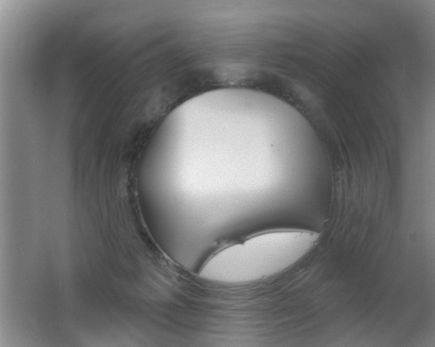 X0000062640221200512211016