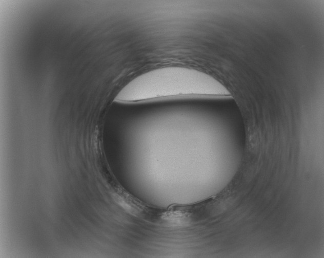X0000062640231200512211016