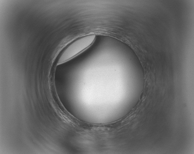 X0000062640242200512211015