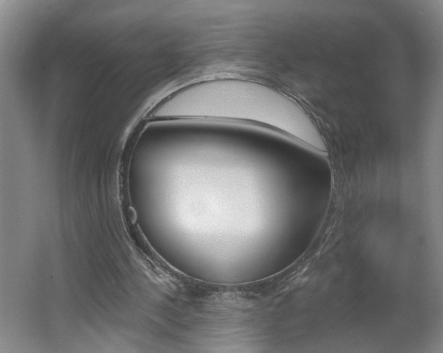 X0000062640244200512211015