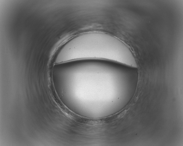 X0000062640245200512211015