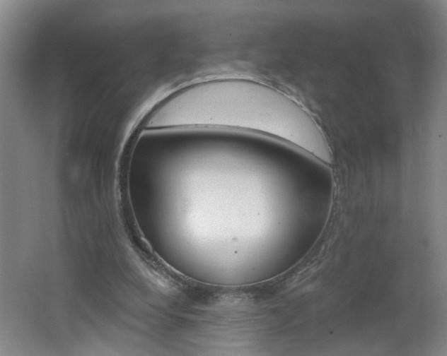 X0000062640248200512211015