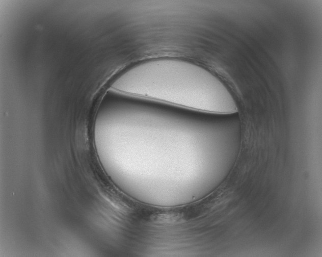 X0000062640251200512211015