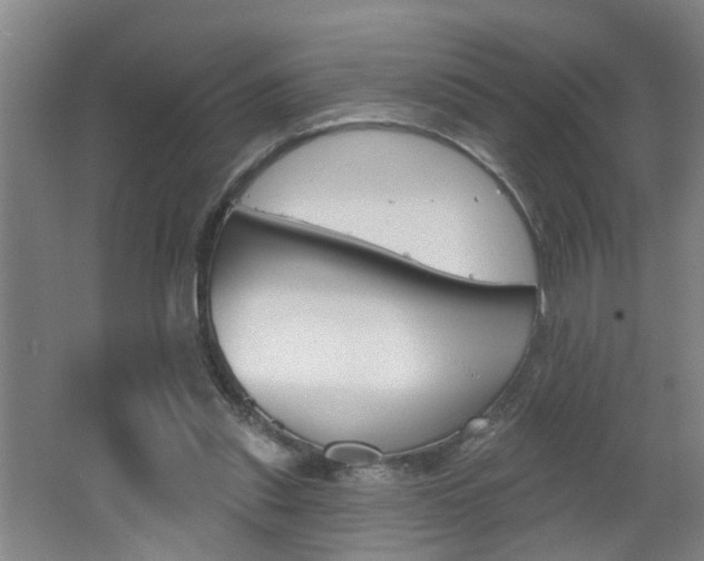 X0000062640253200512211015