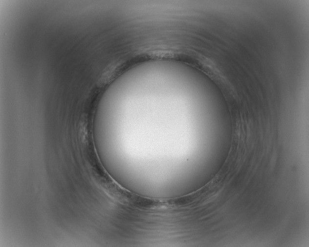 X0000062640259200512211015