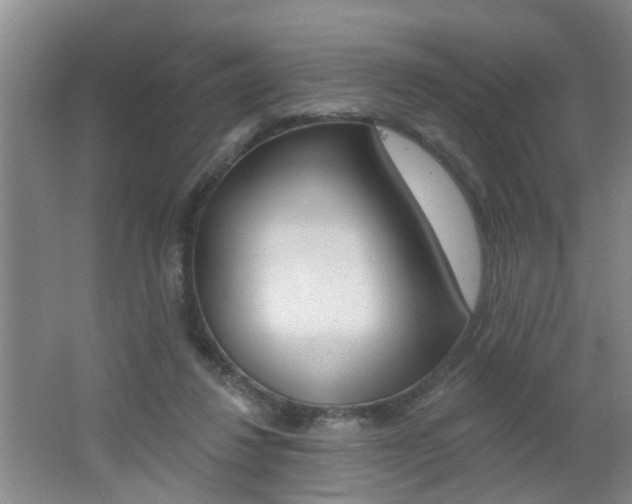 X0000062640260200512211015