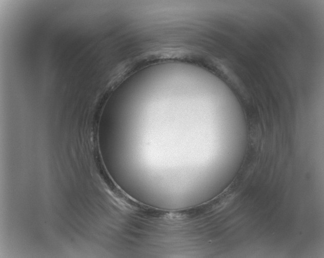 X0000062640261200512211015