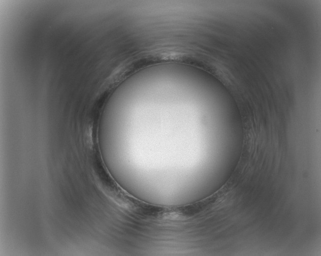 X0000062640262200512211015