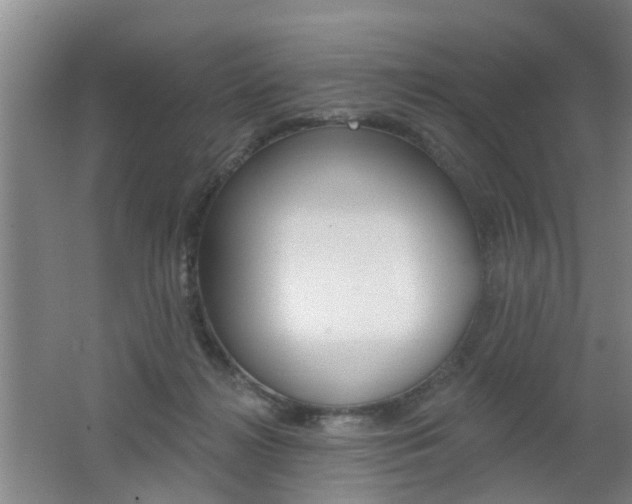 X0000062640268200512211015