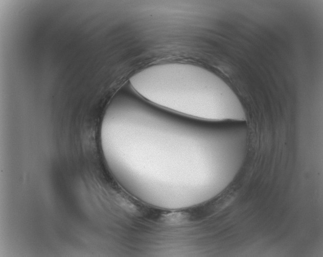 X0000062640269200512211015