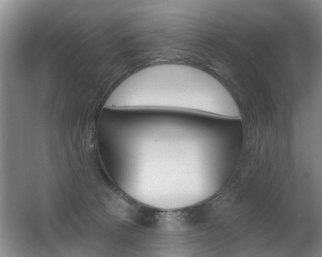 X0000062640273200512211015