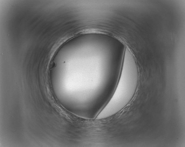 X0000062640289200512211015