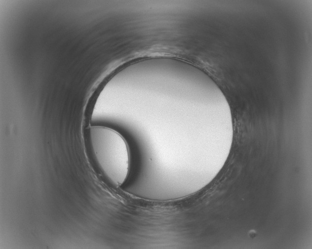 X0000062640292200512211015
