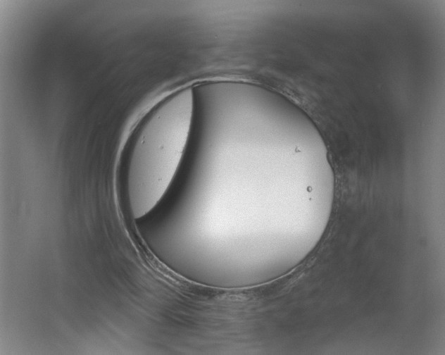 X0000062640294200512211015