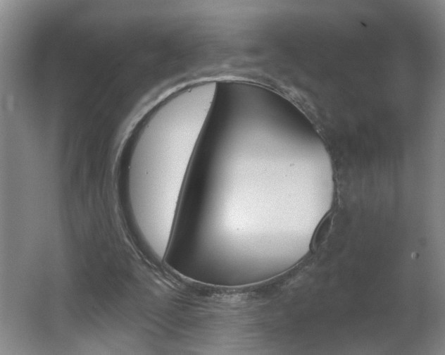 X0000062640295200512211015