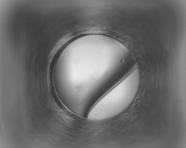 X0000062640296200512211015