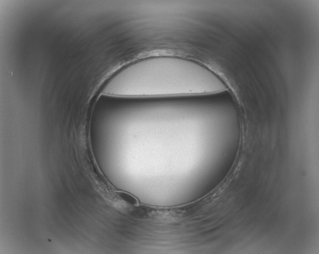 X0000062640297200512211015