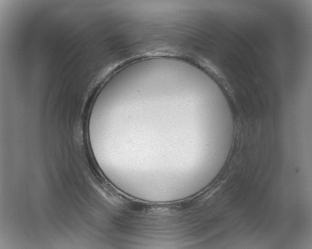 X0000062640298200512211015