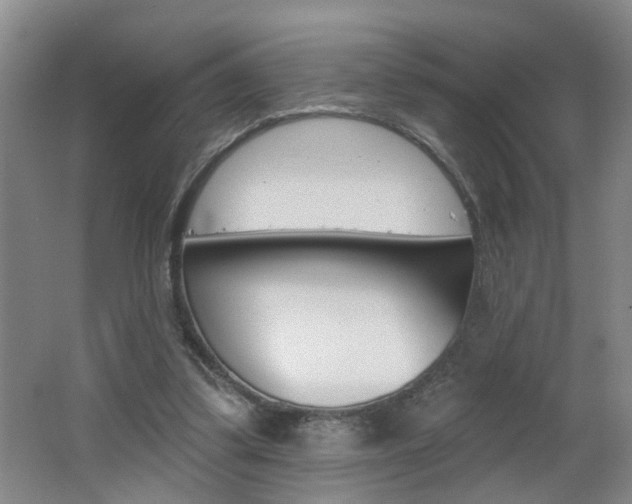 X0000062640299200512211014