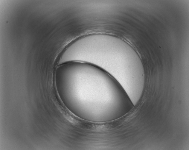 X0000062640301200512211014
