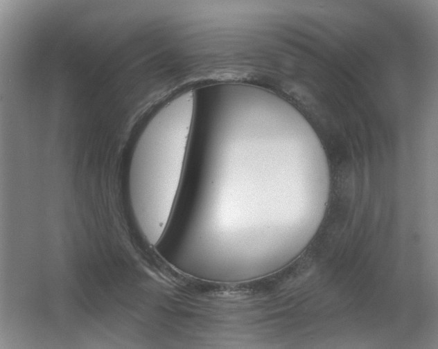 X0000062640303200512211014