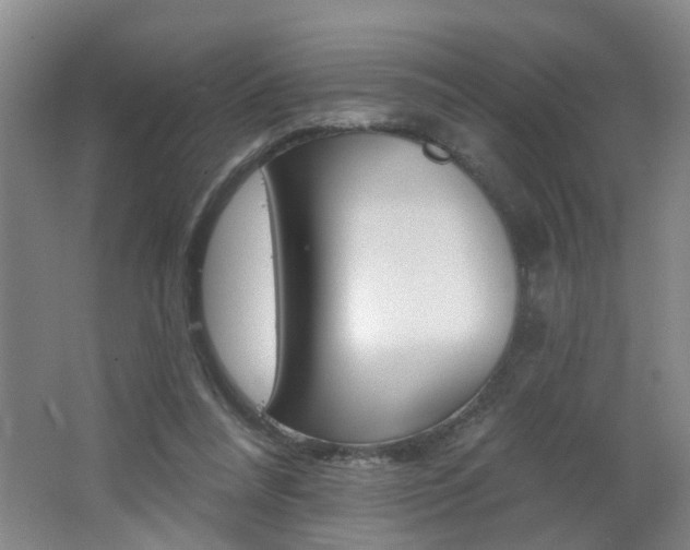 X0000062640304200512211014