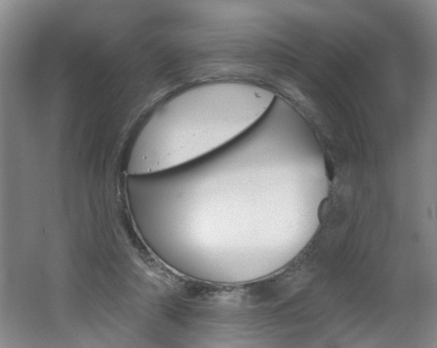 X0000062640306200512211014