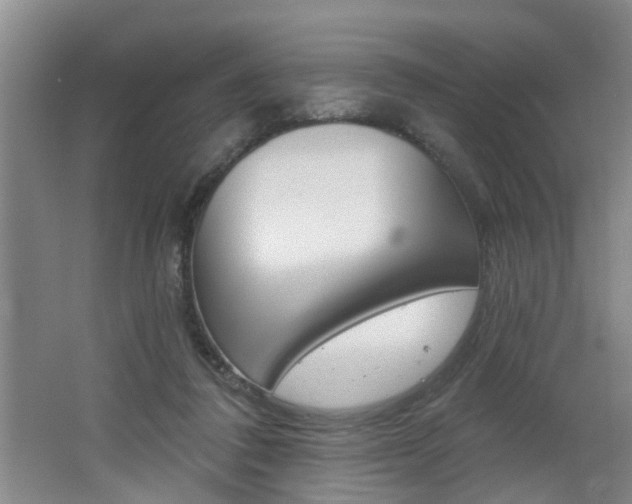 X0000062640308200512211014